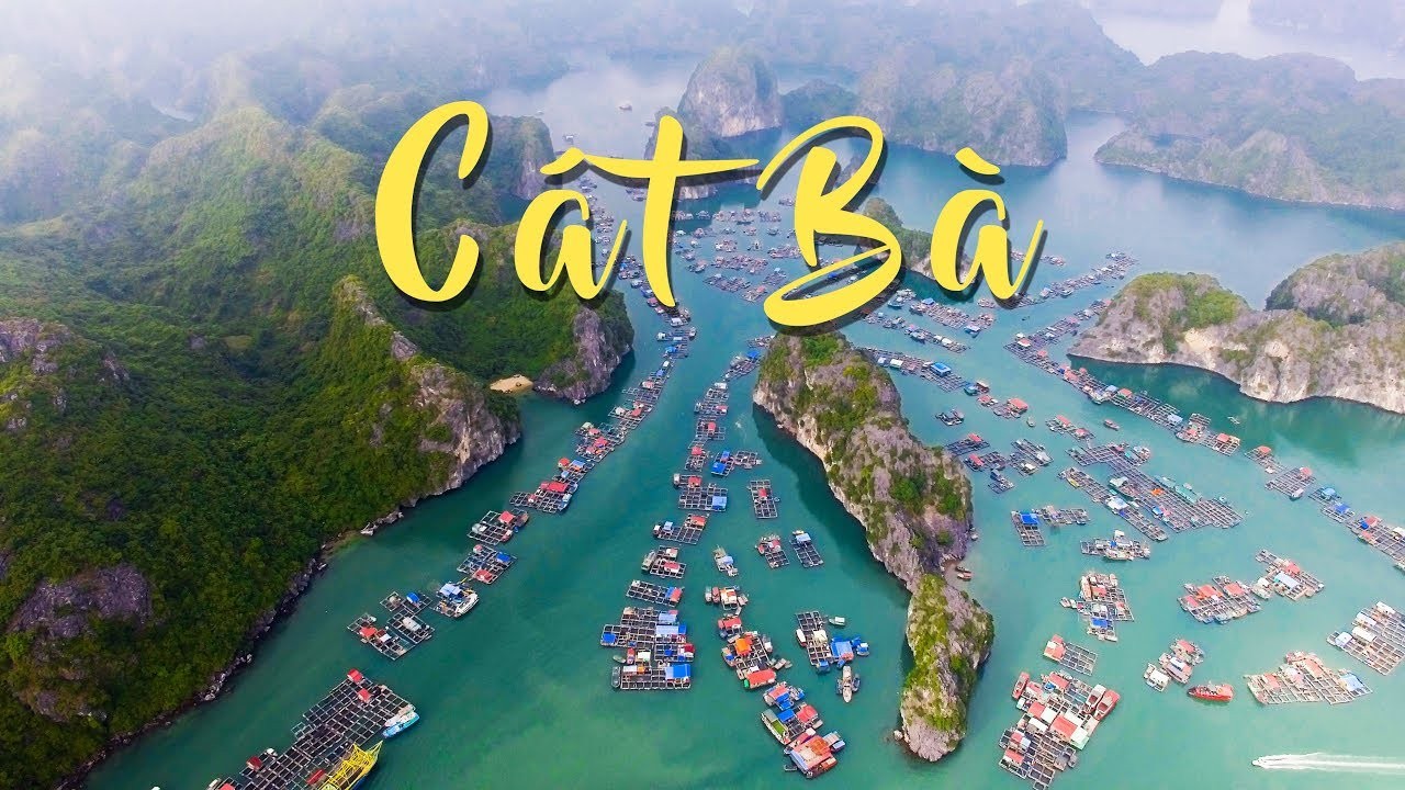các điểm du lịch ở cát bà - Hình 3