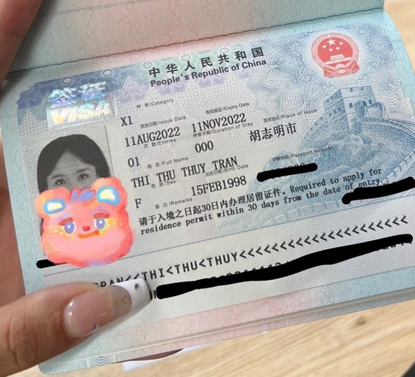các loại visa du lịch trung quốc - Hình 5