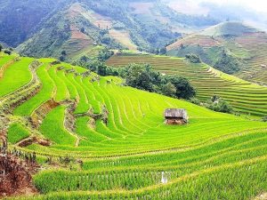 các nhân tố ảnh hưởng đến ngành du lịch