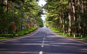 cẩm nang du lịch măng đen