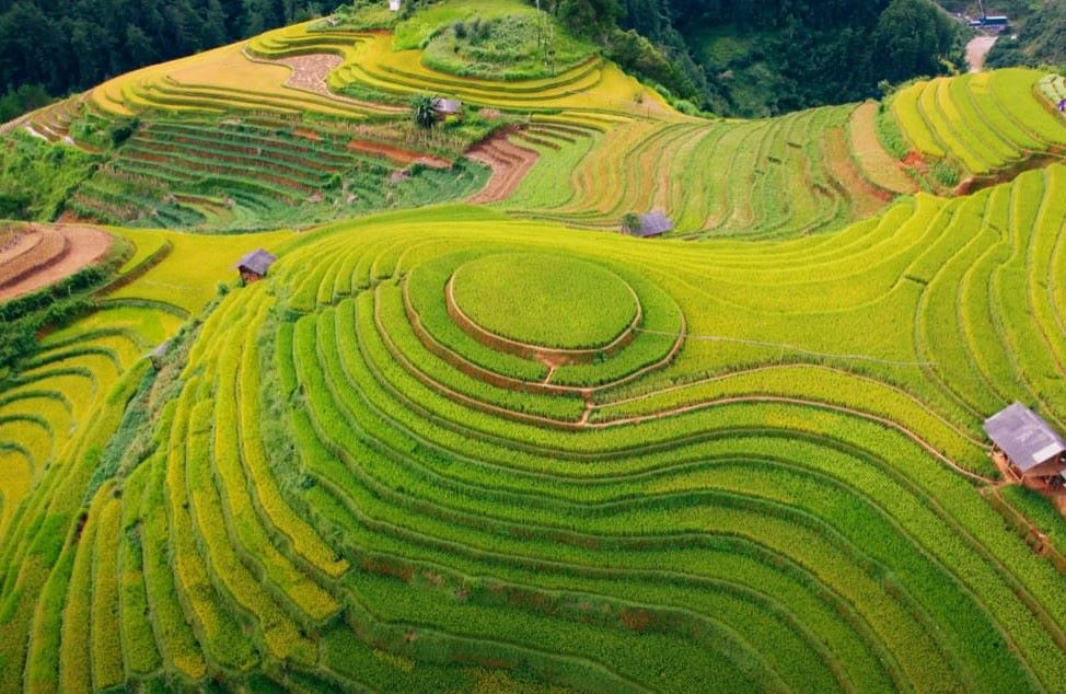 cẩm nang du lịch mù cang chải - Hình 4