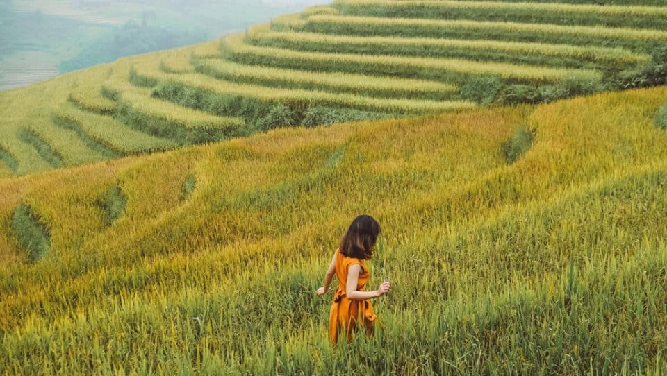 chiêm bao thấy đi du lịch - Hình 5