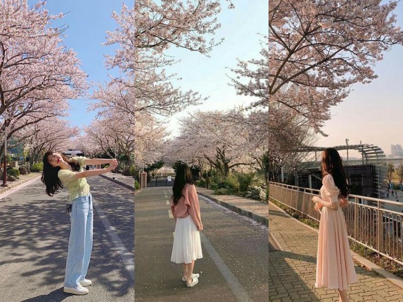 chọn đồ đi du lịch - Hình 2