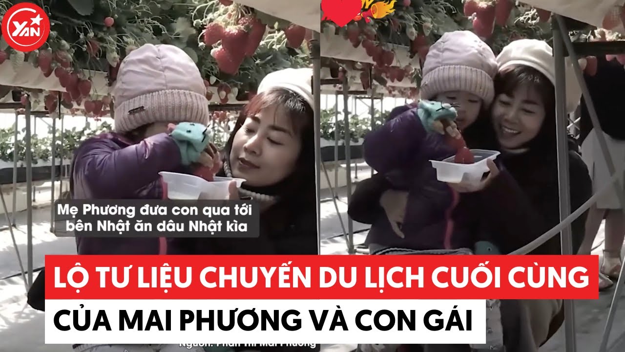 chuyến du lịch cuối cùng - Hình 2