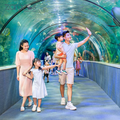 có con nhỏ nên đi du lịch ở đâu miền bắc - Hình 2