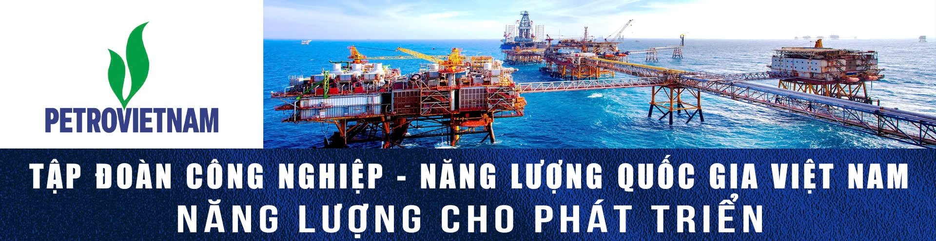 công ty cổ phần du lịch cáp treo vũng tàu - Hình 2