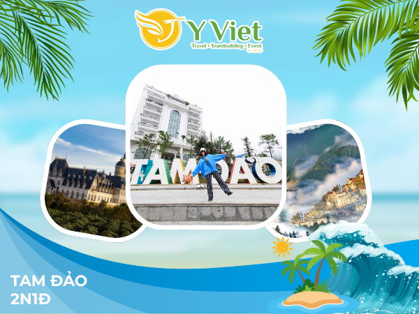 công ty tnhh du lịch dịch vụ tam đảo - Hình 3