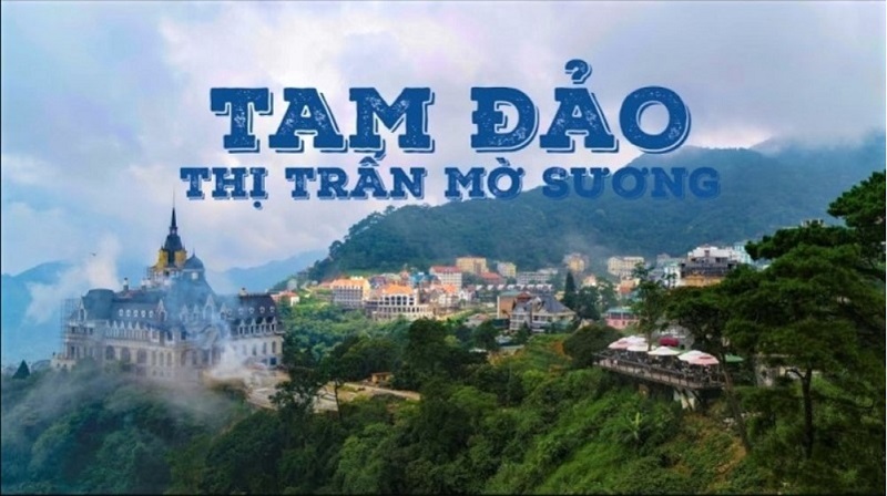 công ty tnhh du lịch dịch vụ tam đảo - Hình 4