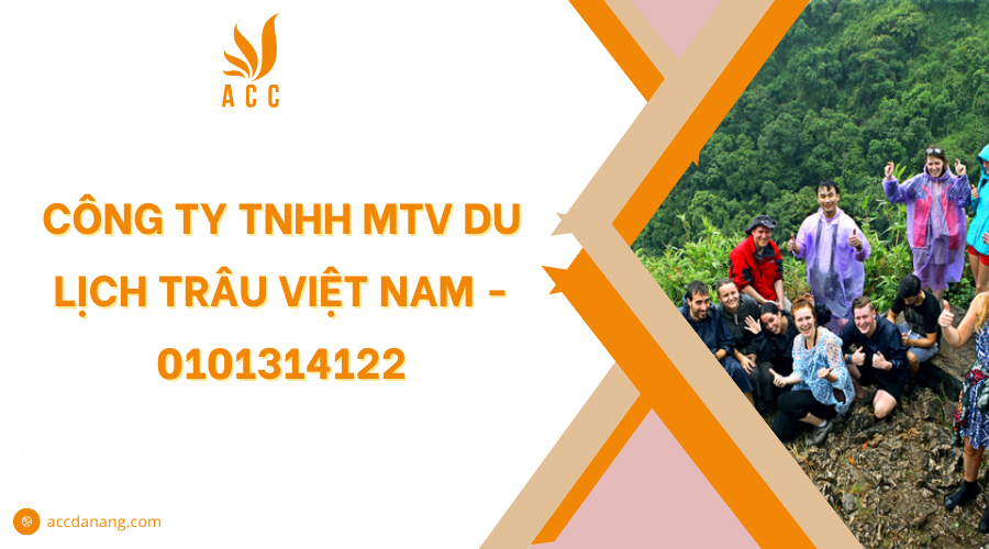 công ty tnhh du lịch trâu việt nam - Hình 3