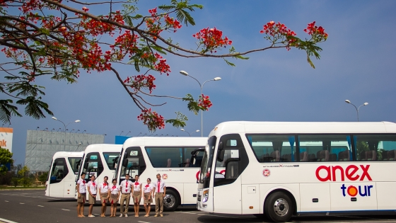 công ty tnhh thương mại và du lịch anex việt nam - Hình 1