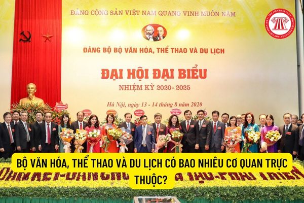 cục văn hóa thể thao và du lịch - Hình 4
