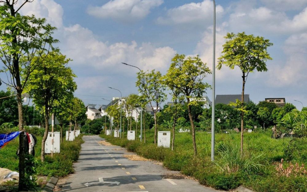 đất dịch vụ du lịch là gì - Hình 2