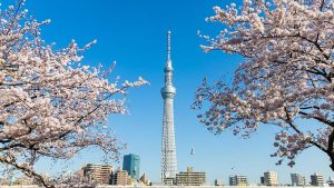 địa điểm du lịch tokyo