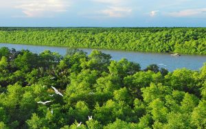 địa điểm du lịch xanh ở thành phố hồ chí minh
