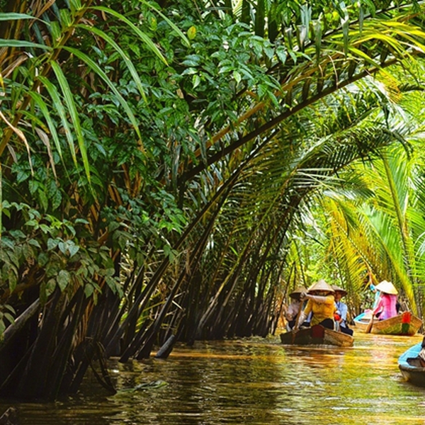 dịch vụ du lịch châu dừa bình phước - Hình 2