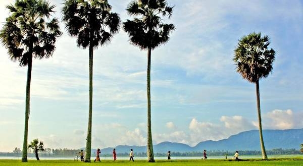 dịch vụ du lịch châu dừa bình phước - Hình 3