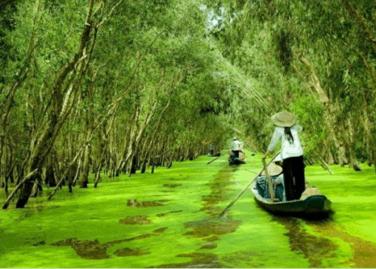 điểm du lịch ở long an - Hình 5