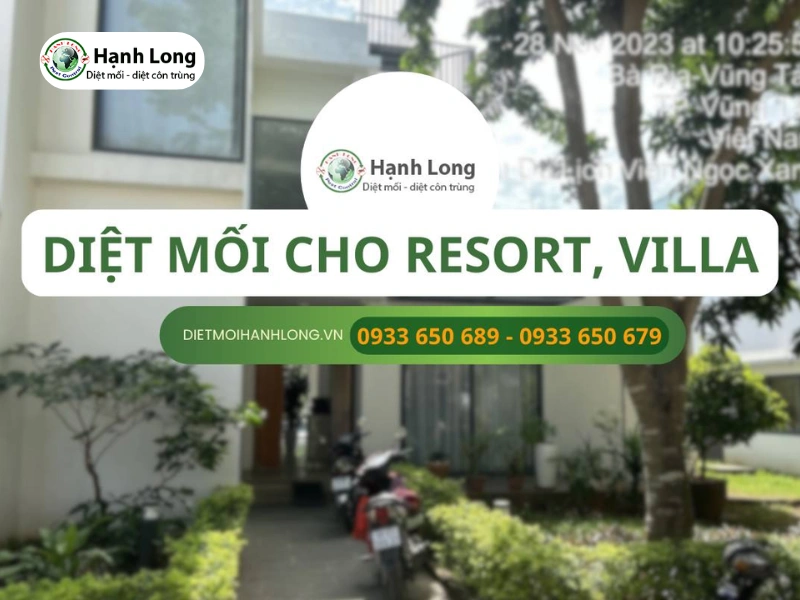 diệt mối cho khu du lịch - Hình 2