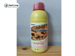 diệt mối cho khu du lịch