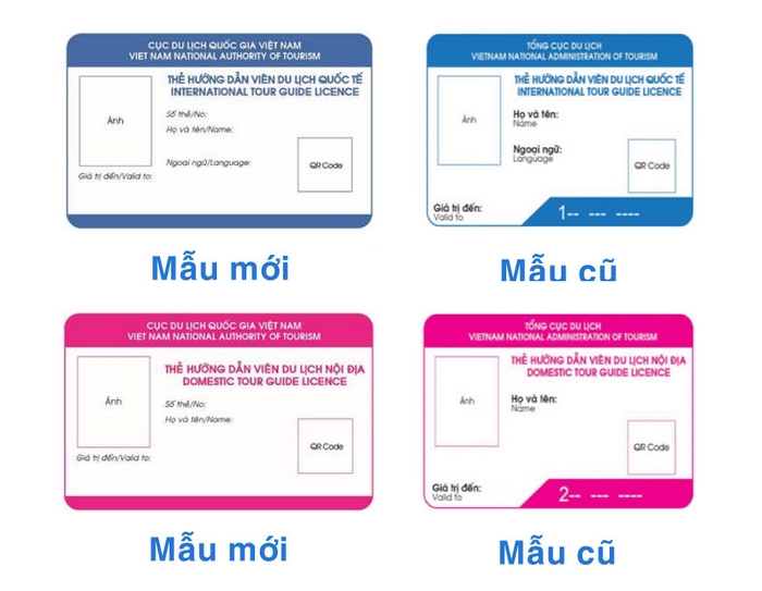 đơn xin cấp thẻ hướng dẫn viên du lịch - Hình 4
