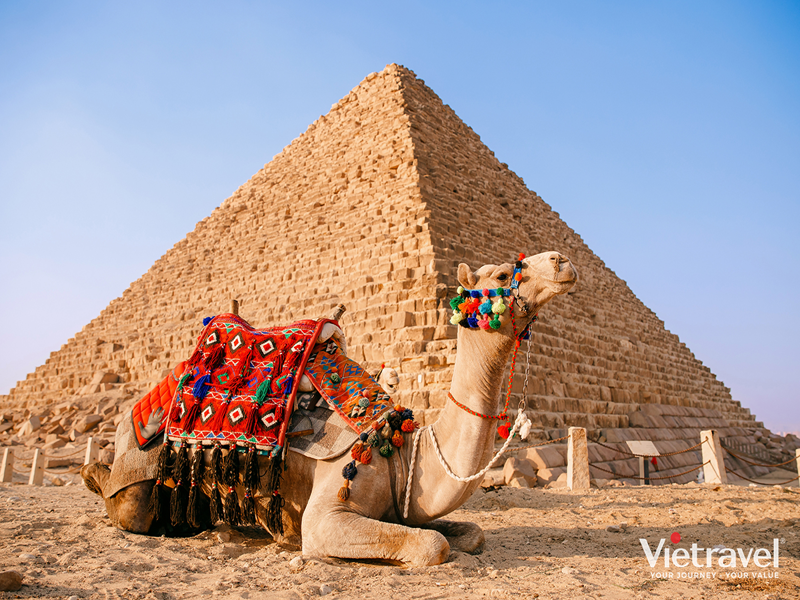 du lịch ai cập vietravel - Hình 2