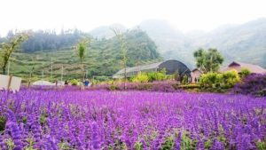 du lịch bắc hà mùa nào đẹp nhất
