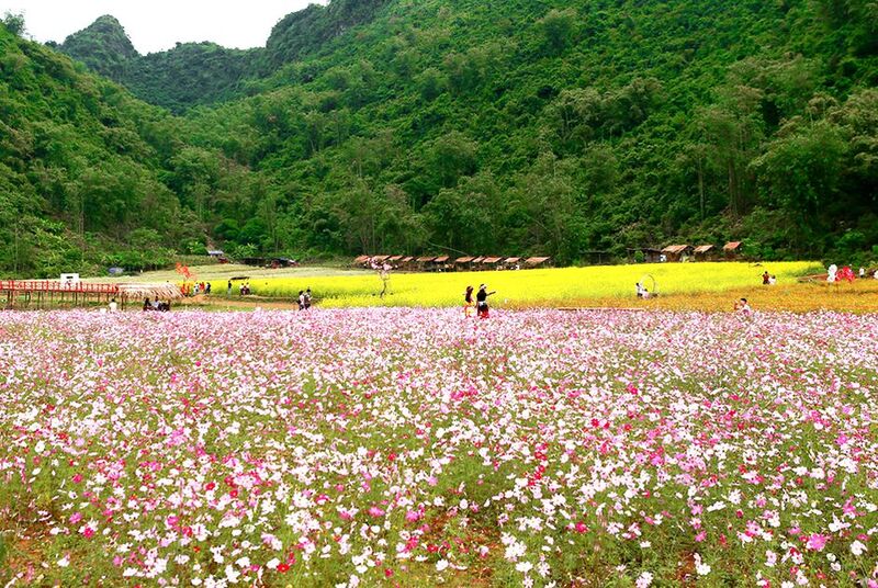 du lịch bắc hà tự túc - Hình 5