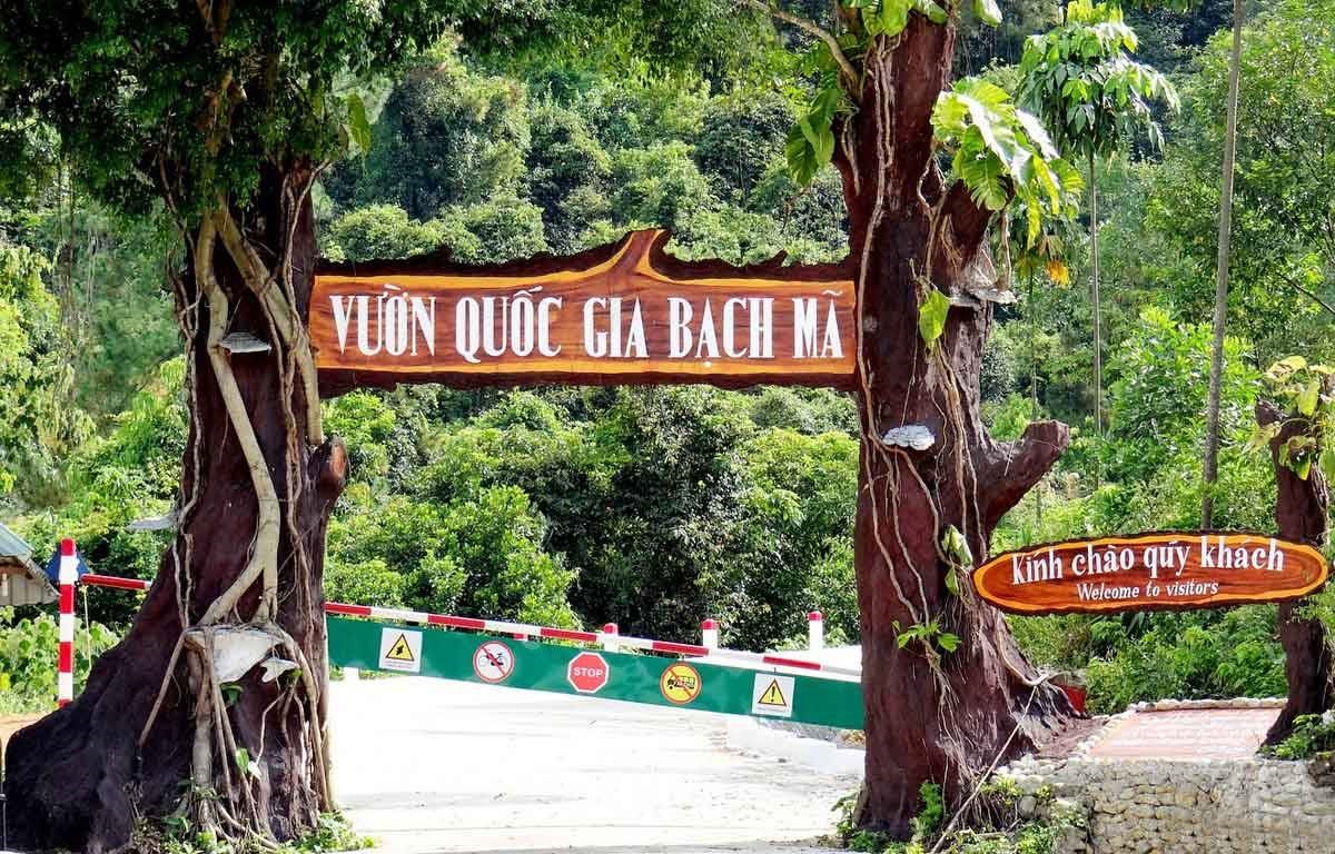 du lịch bạch mã huế - Hình 5