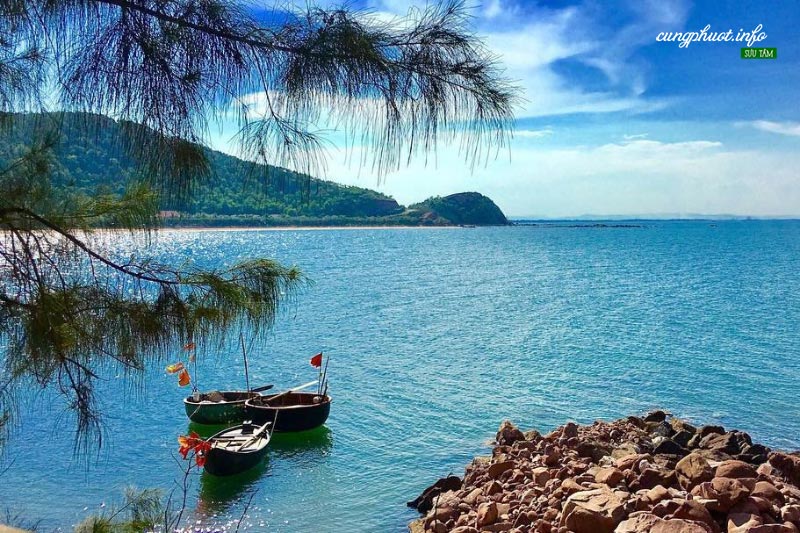 du lịch bãi lữ - Hình 3
