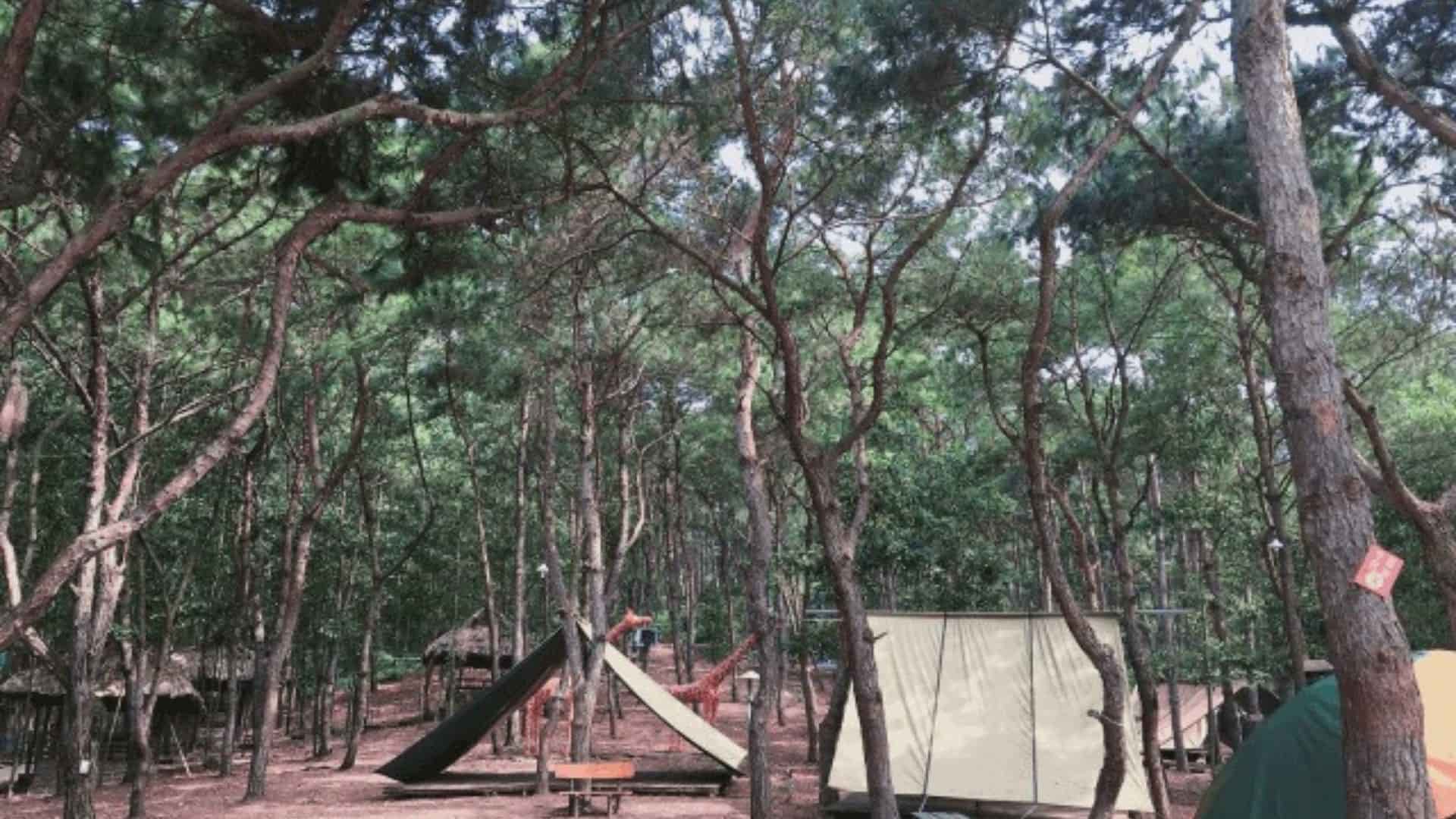 du lịch bản rõm 1 ngày - Hình 5