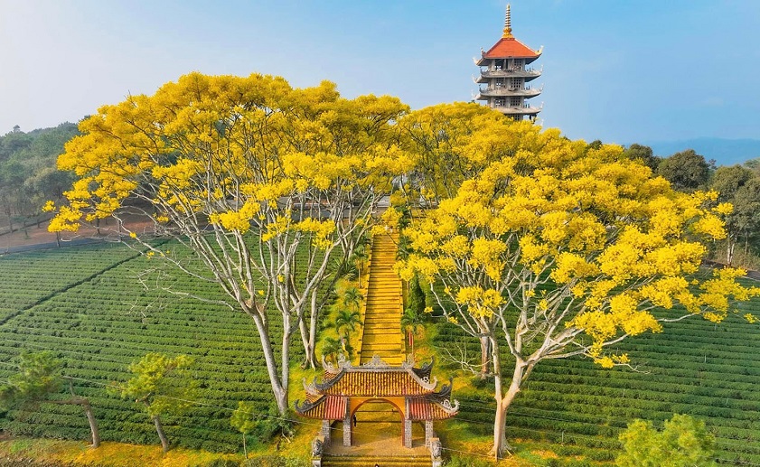 du lịch bảo lộc có gì - Hình 3