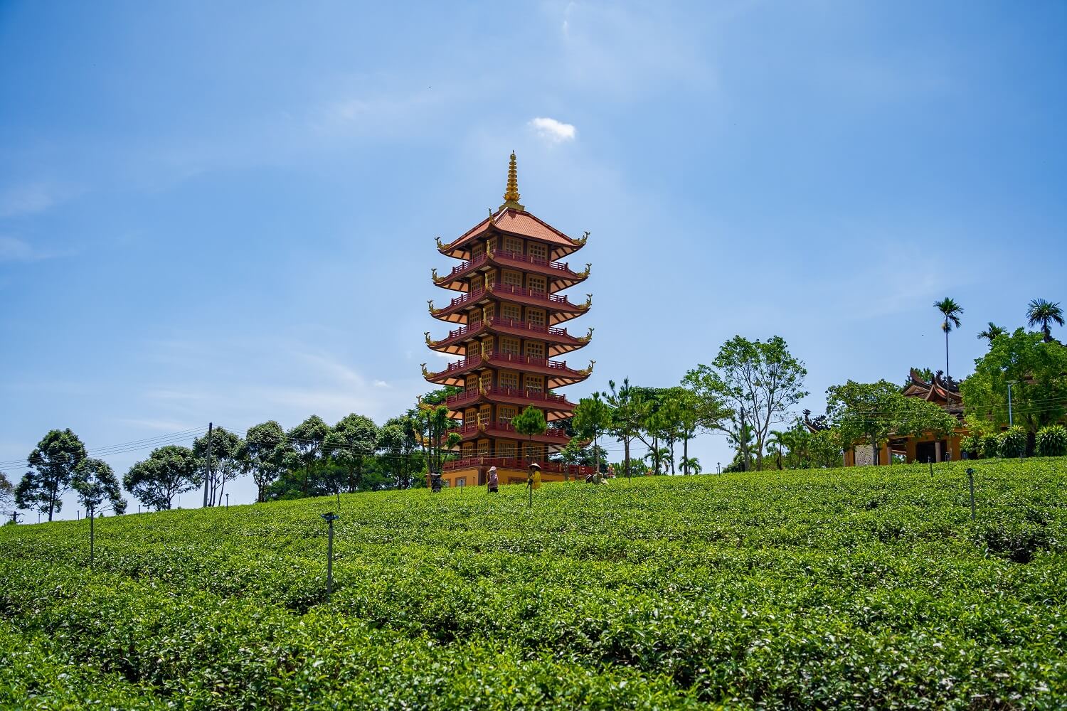du lịch bảo lộc tự túc - Hình 3