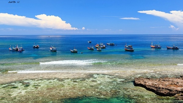 du lịch biển quảng ngãi - Hình 5