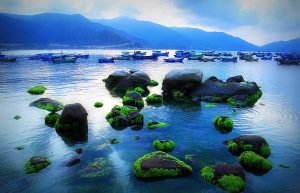 du lịch bình hưng a z a đến z