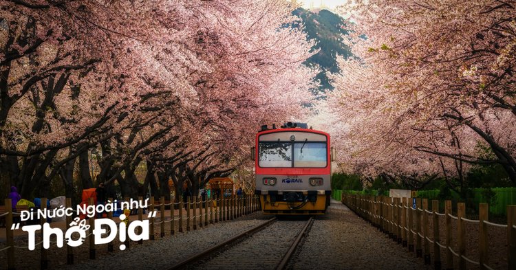 du lịch busan 4 ngày 3 đêm - Hình 1