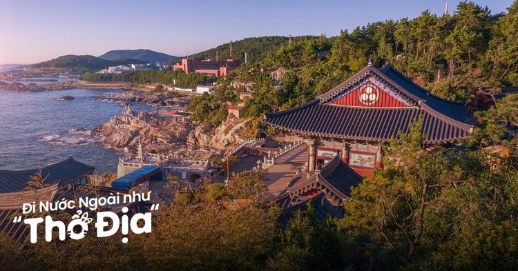 du lịch busan tự túc - Hình 1