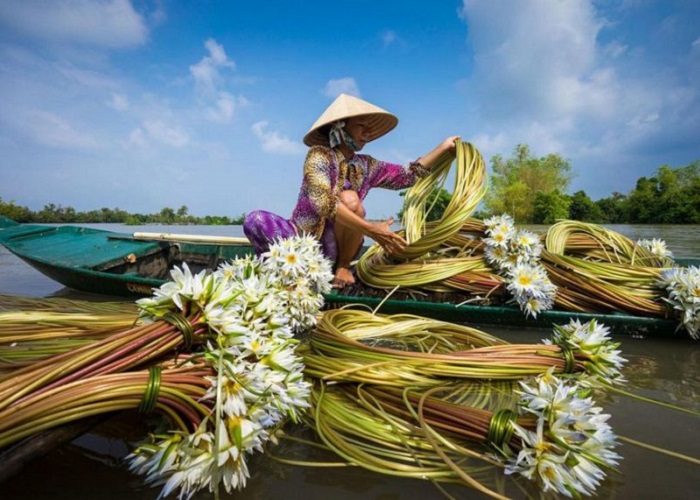 du lịch cà mau mùa nào đẹp nhất - Hình 2