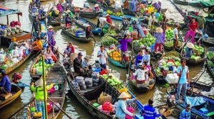 du lịch cái bè