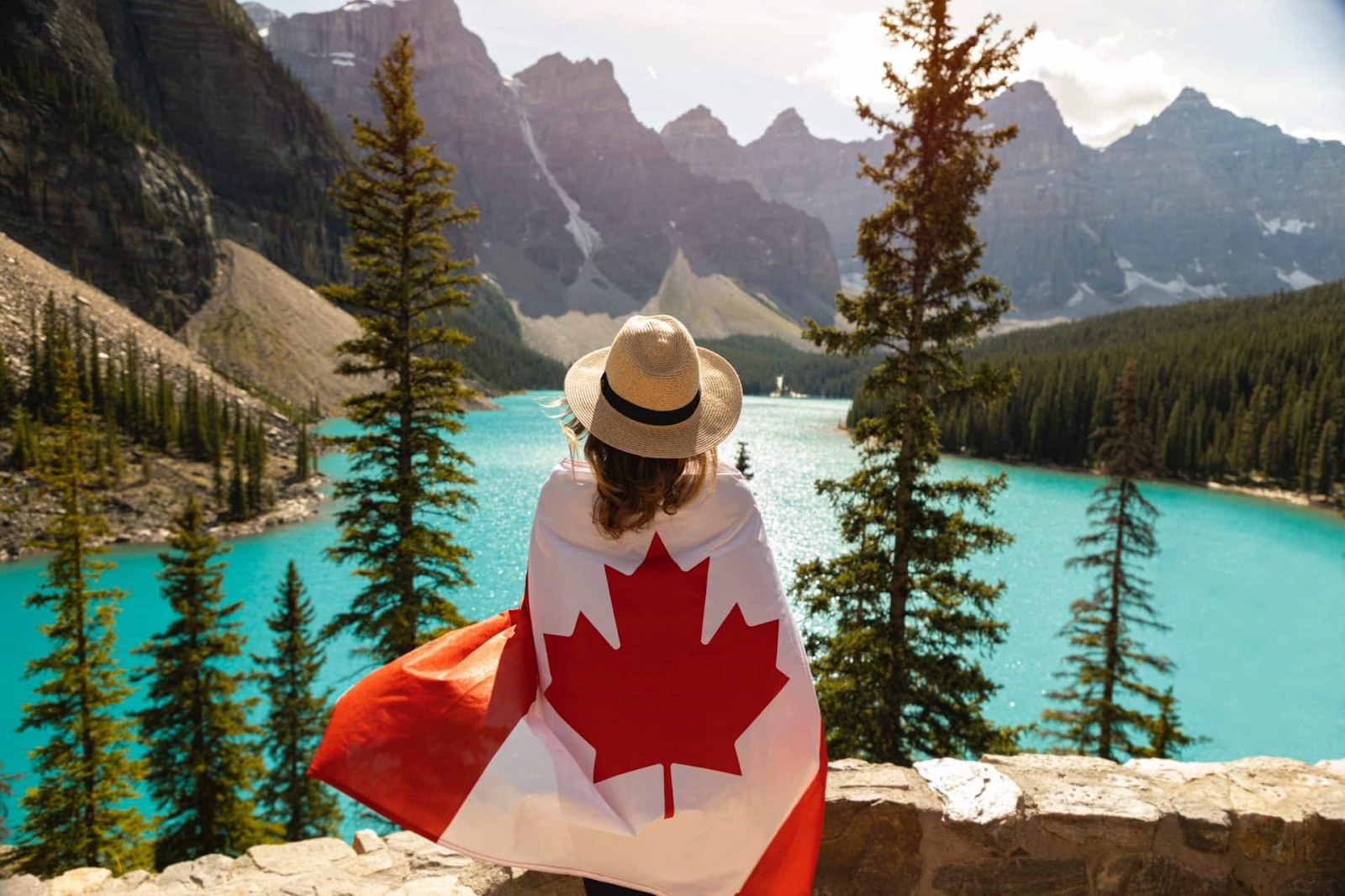 du lịch canada dolphint - Hình 3