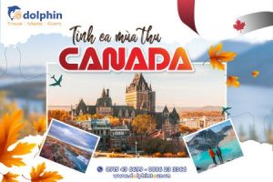 du lịch canada dolphint