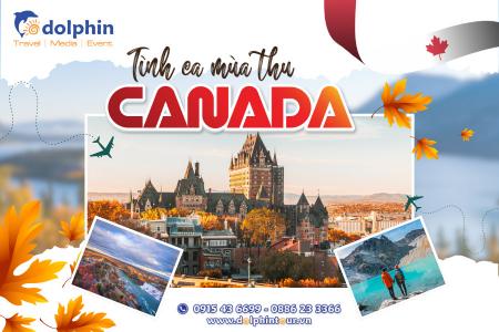 du lịch canada dolphint - Hình 1