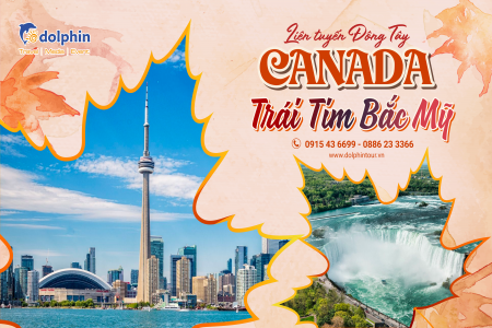 du lịch canada dolphintour - Hình 2