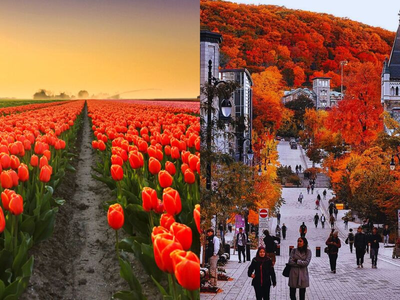 du lịch canada mùa nào đẹp nhất - Hình 4