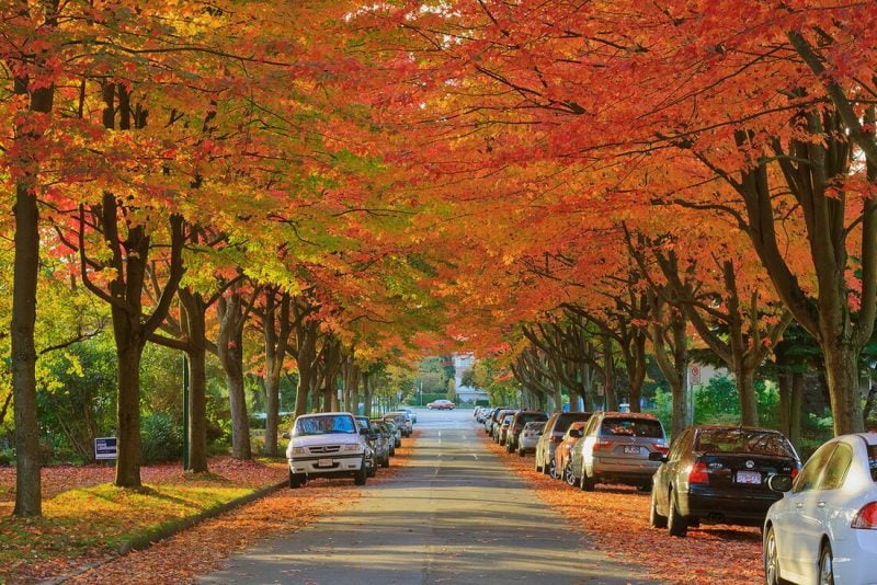 du lịch canada mùa thu - Hình 3