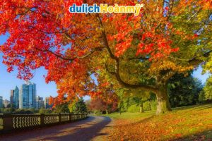 du lịch canada mùa thu