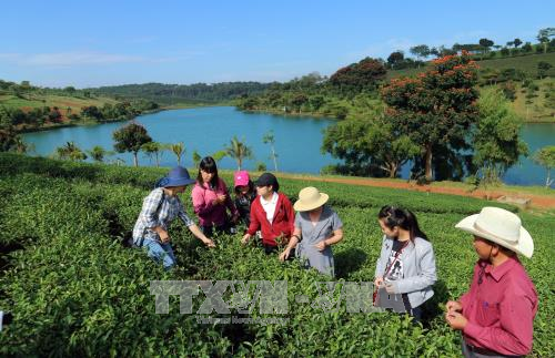 du lịch canh nông - Hình 3