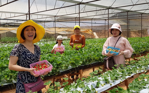 du lịch canh nông - Hình 5