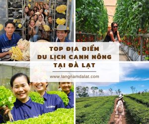 du lịch canh nông đà lạt