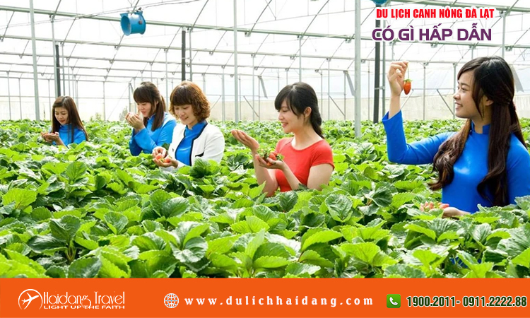 du lịch canh nông là gì - Hình 5