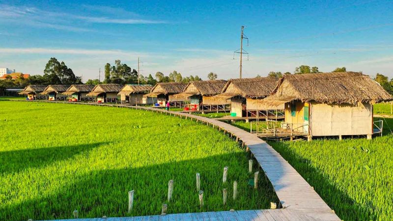 du lịch cao lãnh đồng tháp - Hình 1